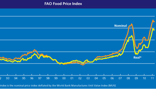 Preţurile mondiale la alimente au rămas stabile în luna decembrie