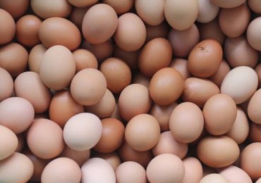 Ouă contaminate cu Fipronil au ajuns în consum!