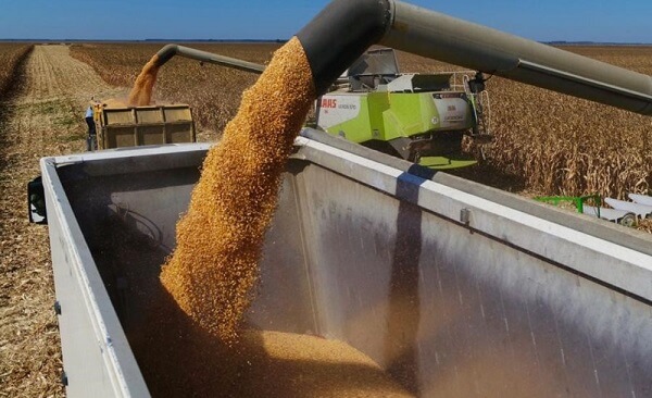 Fermierii din sudul Ucrainei au început să recolteze cerealele