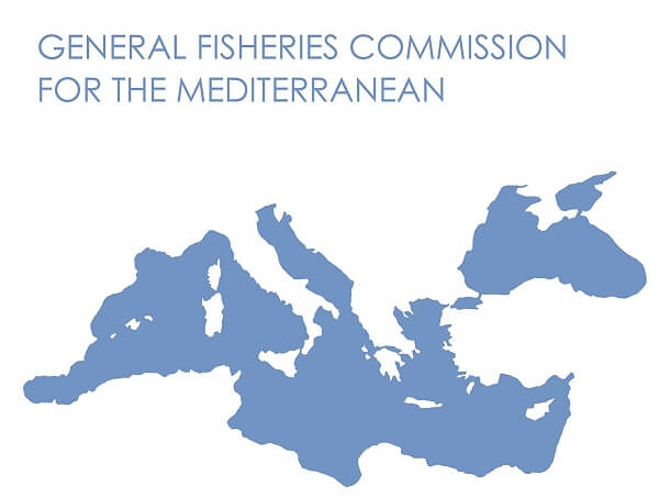 Reuniune tehnică a Comisiei Generale pentru Pescuit în Marea Mediterană
