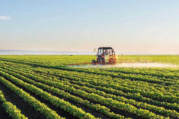 "Agricultura este primul domeniu cu potenţial de creştere în acest an"
