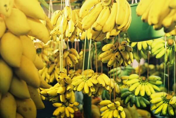 Schimbările climatice, o ameninţare la adresa recoltelor de banane