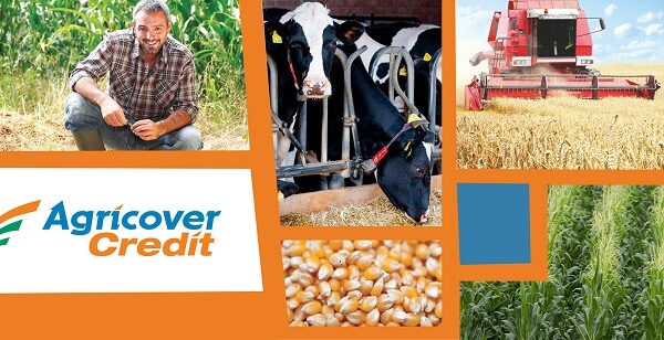 Agricover Credit IFN, creştere a profitului net cu 49%