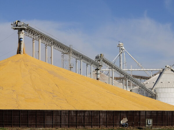 Exporturile de cereale ale Ucrainei prin Polonia şi România se confruntă cu blocaje