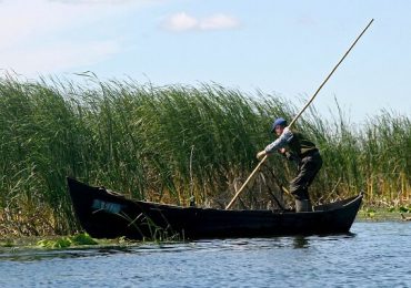 Regulamentul de pescuit comercial în Delta Dunării