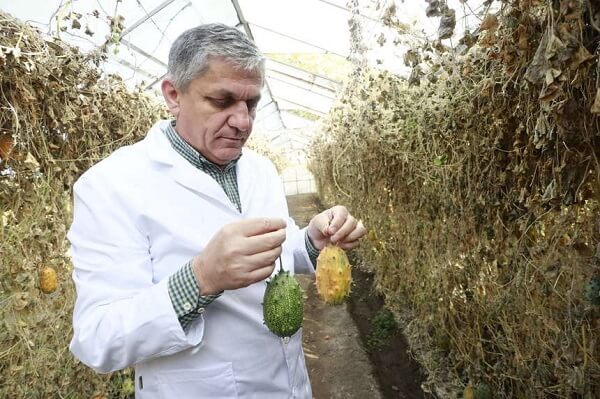 Costel Vînătoru va fi repus în funcţia de director al Băncii de Resurse Genetice Vegetale Buzău