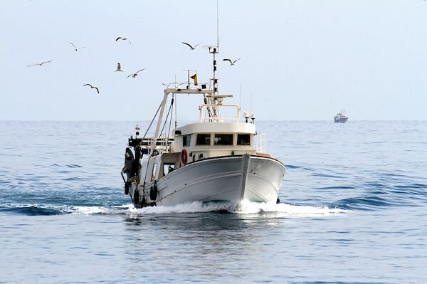 Brexit | Accesul pescarilor francezi în apele insulei Guernsey a fost interzis