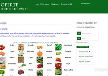Platformă online pentru micii producători de legume
