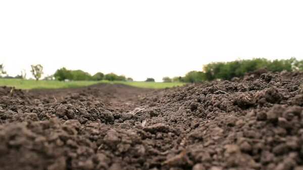 AGROMETEO - 18-24 martie | Aprovizionarea cu apă a solului agricol va fi în limite satisfăcătoare până la optime în majoritatea regiunilor