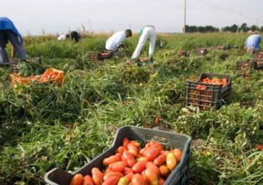 Italia are în vedere crearea unor coridoare speciale pentru lucrătorii în agricultură din România