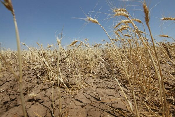 Cehia se confruntă cu cea mai gravă secetă din ultimii 500 de ani