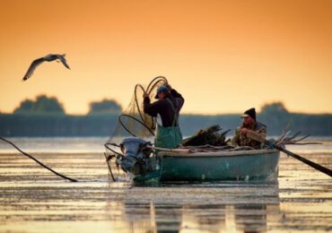 Permisele din 2019 pentru pescuit comercial în Delta Dunării, valabile până în luna iulie