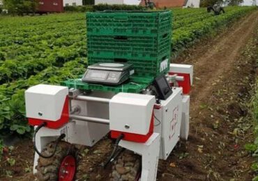 Fermierii britanici testează roboţi care să culeagă fructe din cauza lipsei de mână de lucru