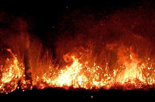 Incendiu de vegetaţie uscată pe 80 de hectare
