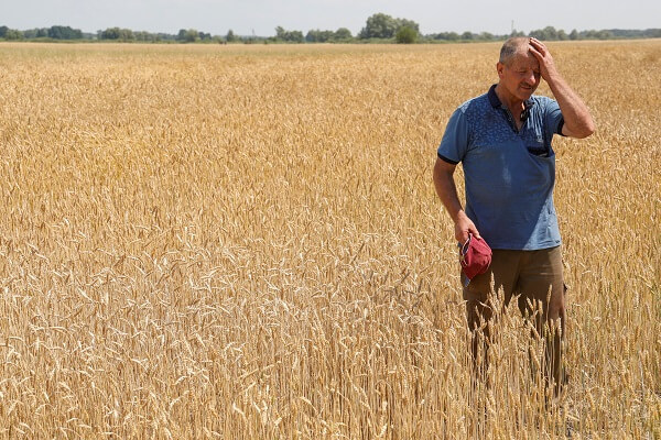 Producţia agricolă a Ucrainei ar putea să îşi revină abia peste 20 de ani